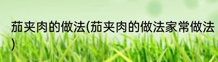 茄夹肉的做法(茄夹肉的做法家常做法)