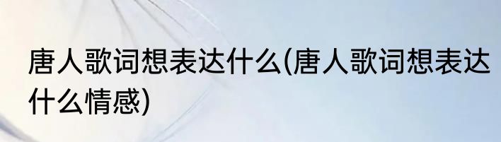 唐人歌词想表达什么(唐人歌词想表达什么情感)