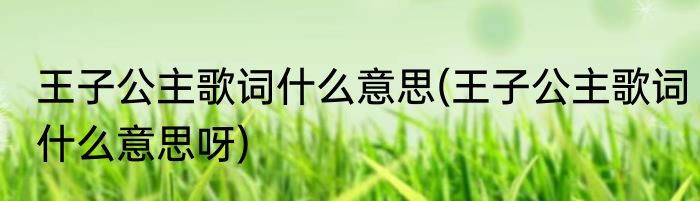 王子公主歌词什么意思(王子公主歌词什么意思呀)