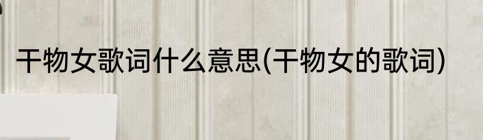 干物女歌词什么意思(干物女的歌词)