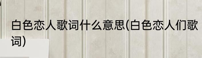 白色恋人歌词什么意思(白色恋人们歌词)