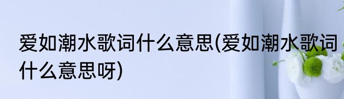 爱如潮水歌词什么意思(爱如潮水歌词什么意思呀)