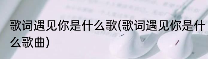 歌词遇见你是什么歌(歌词遇见你是什么歌曲)