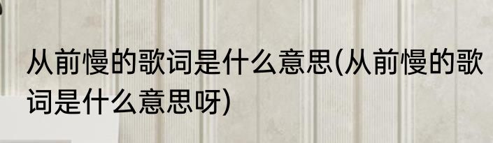 从前慢的歌词是什么意思(从前慢的歌词是什么意思呀)