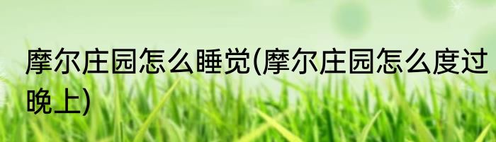 摩尔庄园怎么睡觉(摩尔庄园怎么度过晚上)