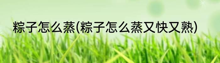 粽子怎么蒸(粽子怎么蒸又快又熟)