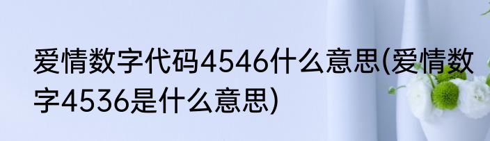 爱情数字代码4546什么意思(爱情数字4536是什么意思)