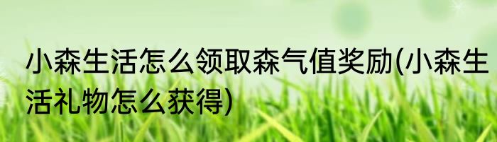 小森生活怎么领取森气值奖励(小森生活礼物怎么获得)