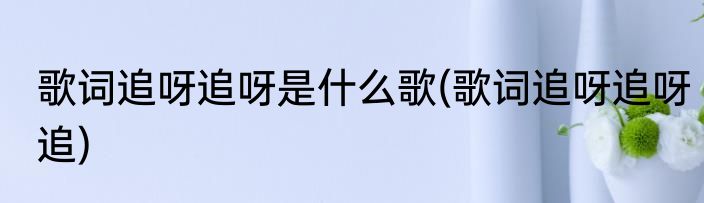 歌词追呀追呀是什么歌(歌词追呀追呀追)