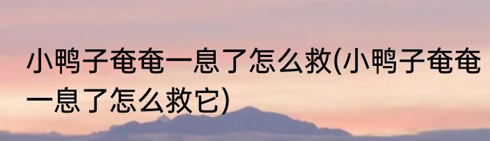 小鸭子奄奄一息了怎么救(小鸭子奄奄一息了怎么救它)
