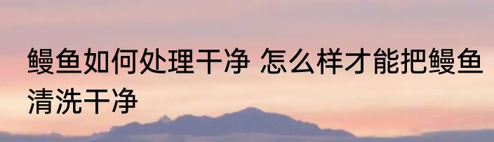 鳗鱼如何处理干净 怎么样才能把鳗鱼清洗干净