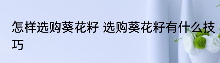 怎样选购葵花籽 选购葵花籽有什么技巧