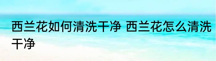 西兰花如何清洗干净 西兰花怎么清洗干净