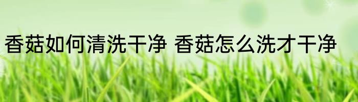 香菇如何清洗干净 香菇怎么洗才干净