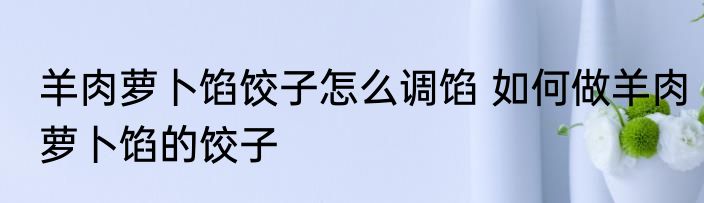 羊肉萝卜馅饺子怎么调馅 如何做羊肉萝卜馅的饺子
