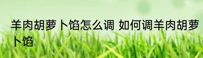 羊肉胡萝卜馅怎么调 如何调羊肉胡萝卜馅