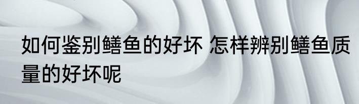 如何鉴别鳝鱼的好坏 怎样辨别鳝鱼质量的好坏呢