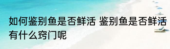 如何鉴别鱼是否鲜活 鉴别鱼是否鲜活有什么窍门呢
