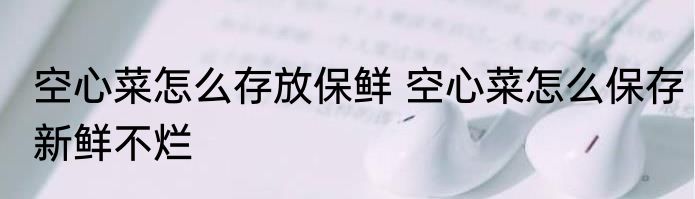 空心菜怎么存放保鲜 空心菜怎么保存新鲜不烂