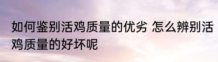 如何鉴别活鸡质量的优劣 怎么辨别活鸡质量的好坏呢