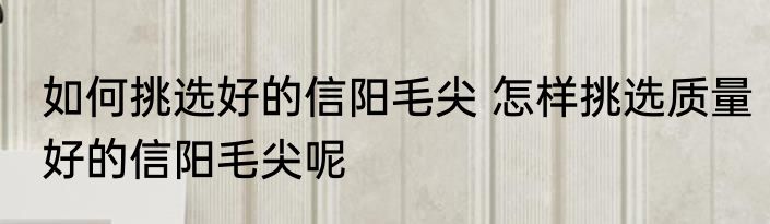 如何挑选好的信阳毛尖 怎样挑选质量好的信阳毛尖呢