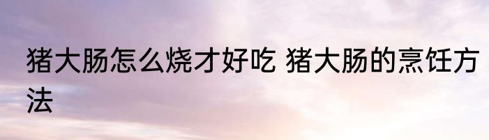猪大肠怎么烧才好吃 猪大肠的烹饪方法