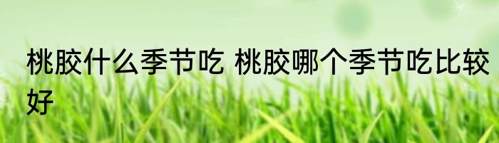 桃胶什么季节吃 桃胶哪个季节吃比较好