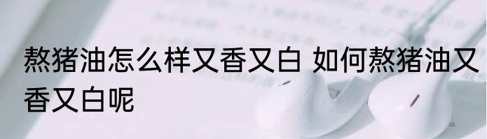 熬猪油怎么样又香又白 如何熬猪油又香又白呢