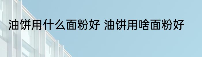 油饼用什么面粉好 油饼用啥面粉好