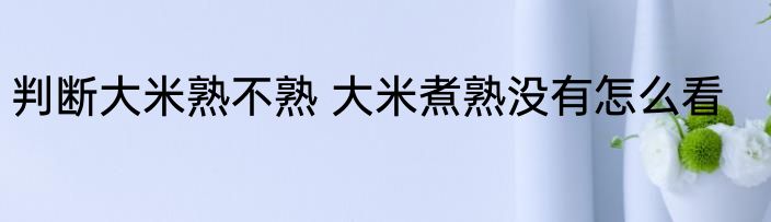 判断大米熟不熟 大米煮熟没有怎么看