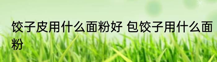 饺子皮用什么面粉好 包饺子用什么面粉