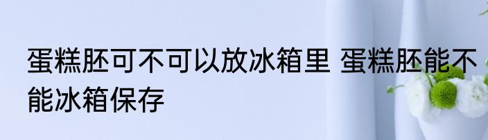 蛋糕胚可不可以放冰箱里 蛋糕胚能不能冰箱保存
