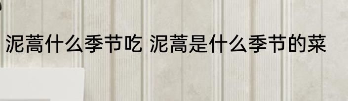 泥蒿什么季节吃 泥蒿是什么季节的菜