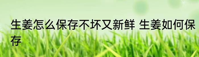 生姜怎么保存不坏又新鲜 生姜如何保存