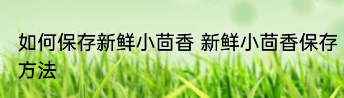 如何保存新鲜小茴香 新鲜小茴香保存方法