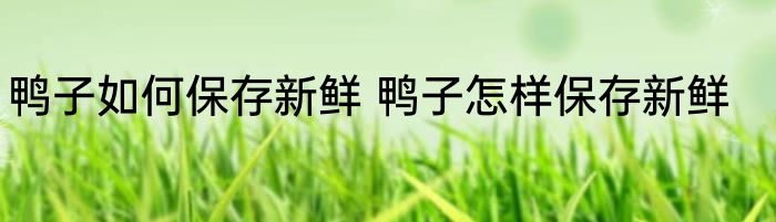 鸭子如何保存新鲜 鸭子怎样保存新鲜
