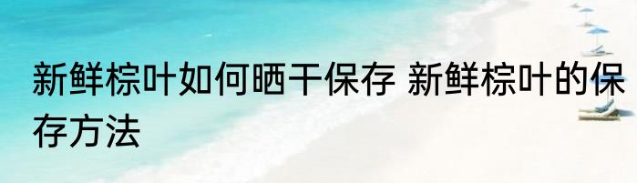 新鲜棕叶如何晒干保存 新鲜棕叶的保存方法