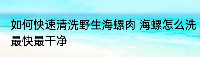 如何快速清洗野生海螺肉 海螺怎么洗最快最干净