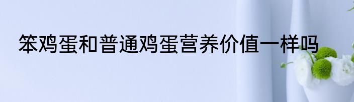 笨鸡蛋和普通鸡蛋营养价值一样吗