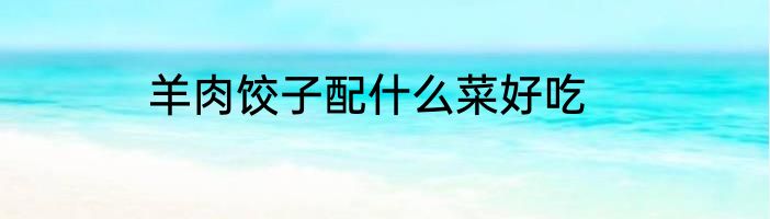 羊肉饺子配什么菜好吃