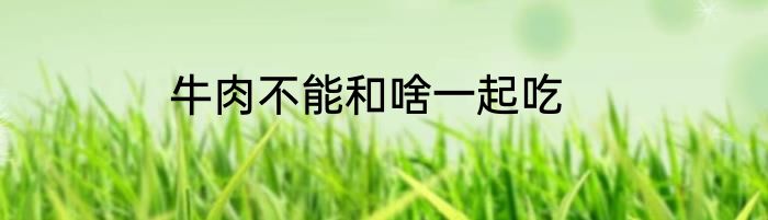 牛肉不能和啥一起吃