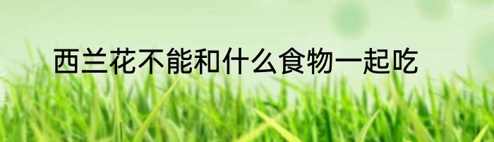西兰花不能和什么食物一起吃