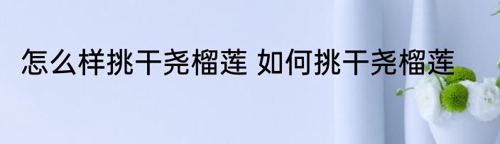 怎么样挑干尧榴莲 如何挑干尧榴莲