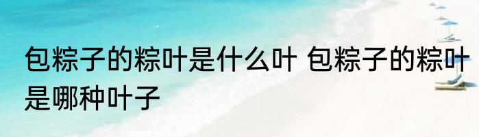 包粽子的粽叶是什么叶 包粽子的粽叶是哪种叶子