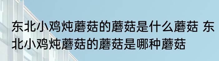 东北小鸡炖蘑菇的蘑菇是什么蘑菇 东北小鸡炖蘑菇的蘑菇是哪种蘑菇