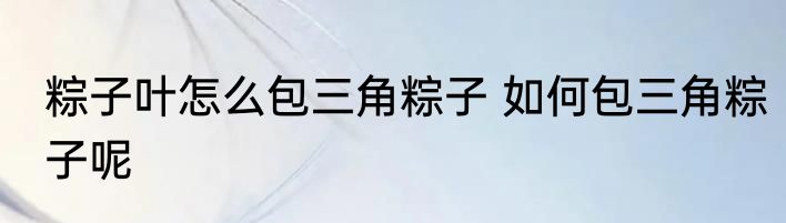 粽子叶怎么包三角粽子 如何包三角粽子呢
