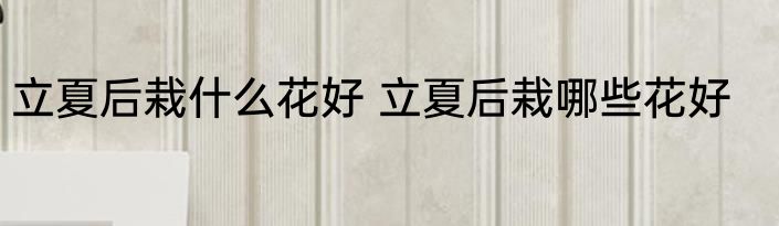 立夏后栽什么花好 立夏后栽哪些花好