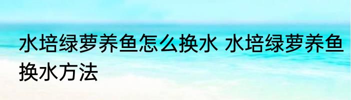 水培绿萝养鱼怎么换水 水培绿萝养鱼换水方法