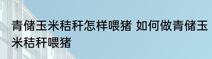 青储玉米秸秆怎样喂猪 如何做青储玉米秸秆喂猪