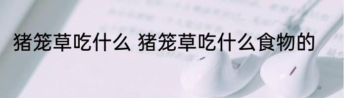 猪笼草吃什么 猪笼草吃什么食物的